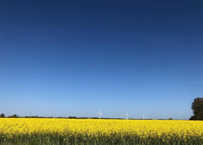 Tief 10 Sandburg 104